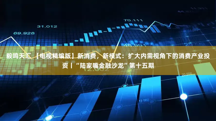 毅鸣天汇 【电视精编版】新消费，新模式：扩大内需视角下的消费产业投资丨“陆家嘴金融沙龙”第十五期