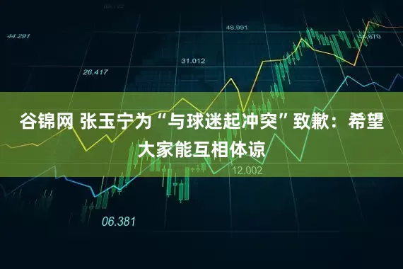 谷锦网 张玉宁为“与球迷起冲突”致歉：希望大家能互相体谅