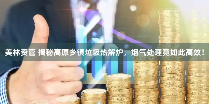 美林资管 揭秘高原乡镇垃圾热解炉，烟气处理竟如此高效！